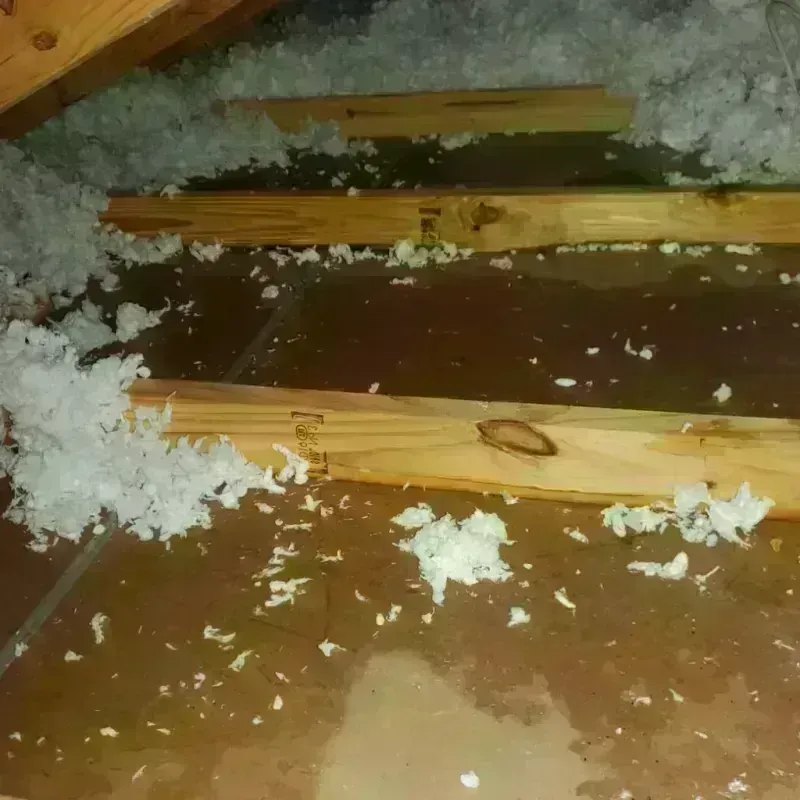 Attic Water Damage in Guaynabo, PR